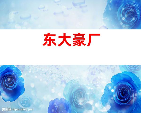 东大豪厂